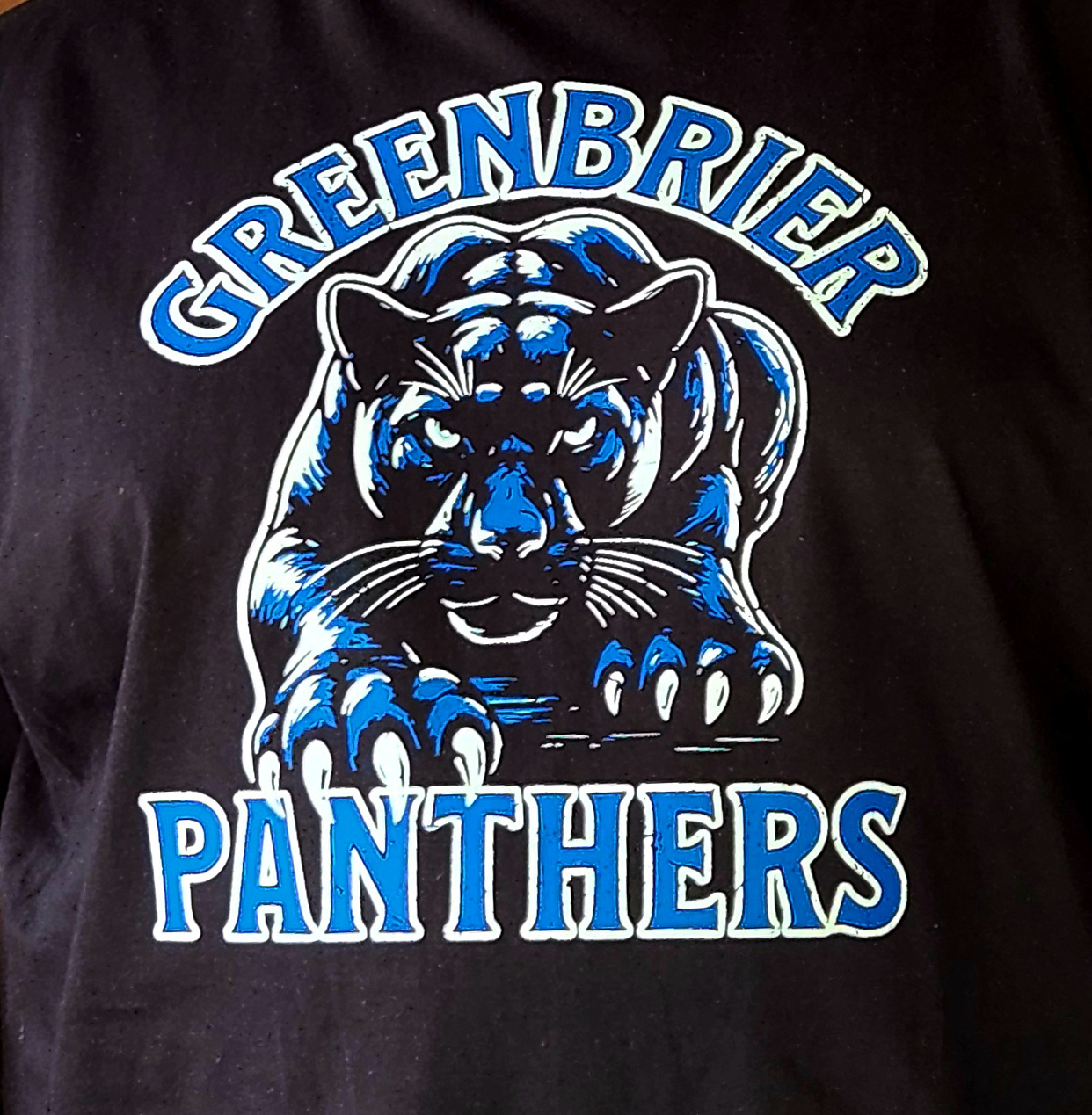 🐾Pre-Order🐾 Greenbrier Panthers Stare Down T Shirt