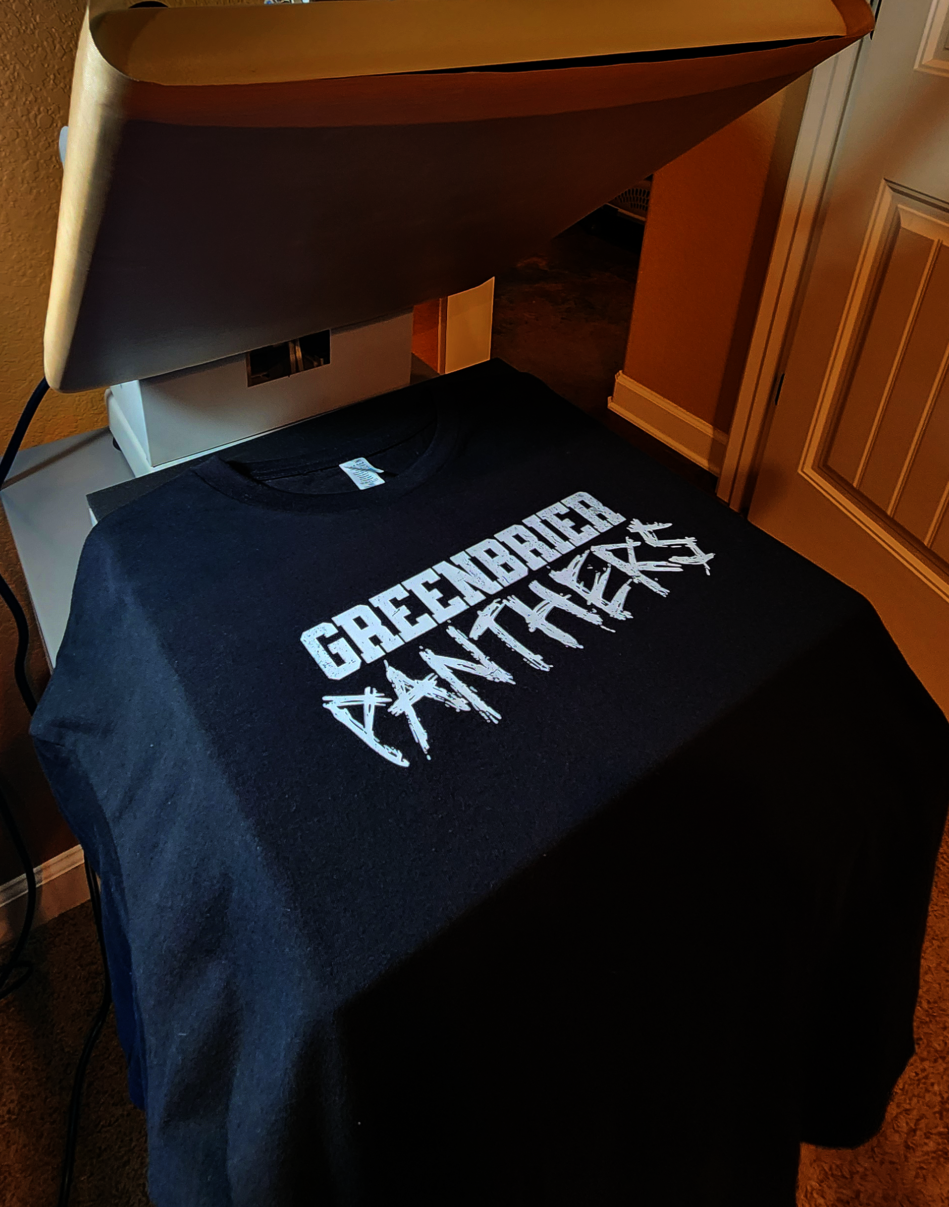 🐾Pre-Order🐾 Greenbrier Panthers (Scratched In)