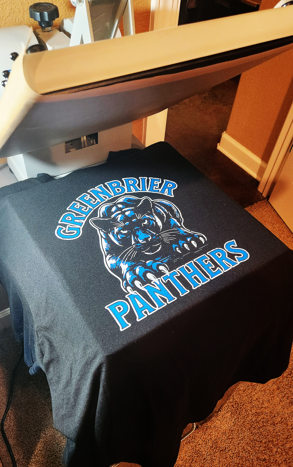 🐾Pre-Order🐾 Greenbrier Panthers Stare Down T Shirt