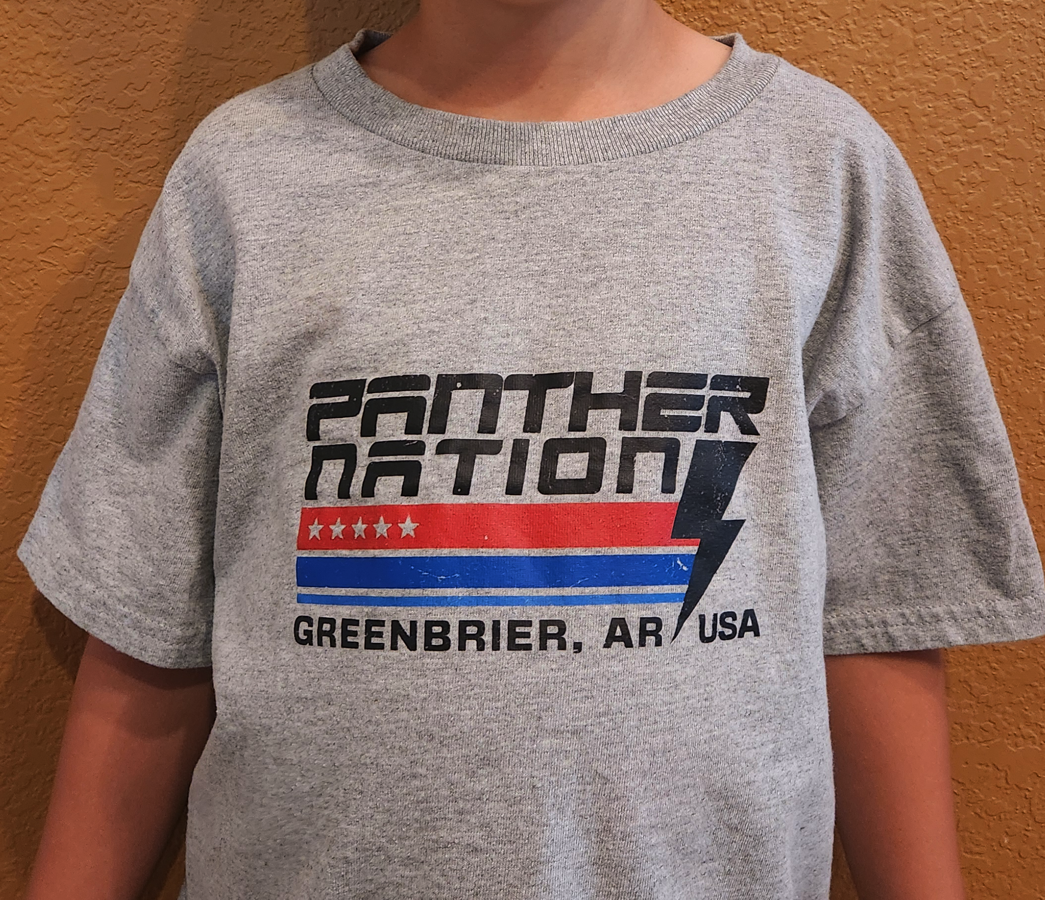 Gray t-shirt with 'Panther Nation' design worn by a person against a brown background